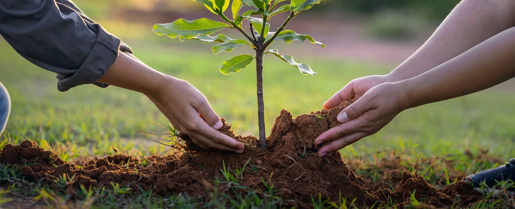 Trách Nhiệm Xã Hội Của Chúng Tôi